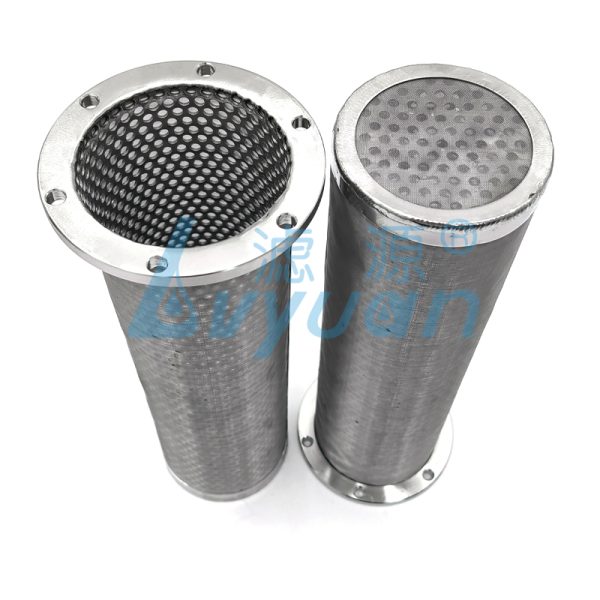 Stainless Steel Perforated Mesh Filter Cartridge (3)
