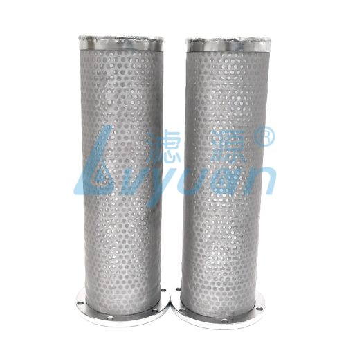 Stainless Steel Perforated Mesh Filter Cartridge (4)