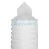 10-Zoll-Faltenfilterpatrone (2) 10-Zoll-Faltenfilterpatrone (2)