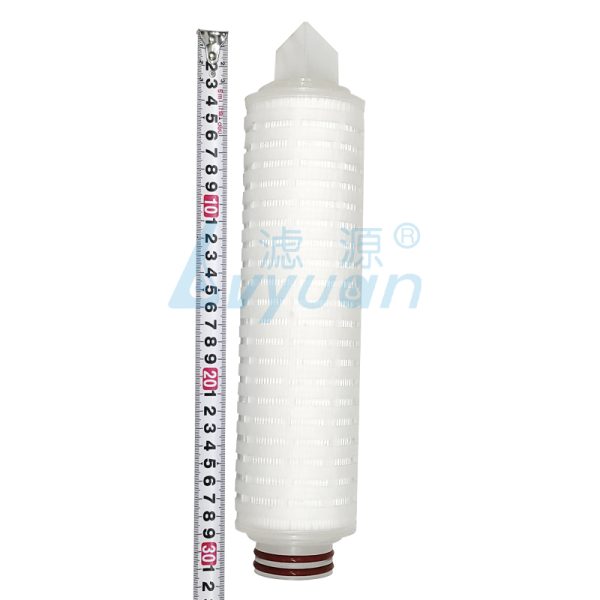 10-Zoll-Faltenfilterpatrone (4) 10-Zoll-Faltenfilterpatrone (4)