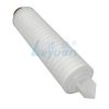 10-Zoll-Faltenfilterpatrone (6) 10-Zoll-Faltenfilterpatrone (6)