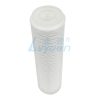 10-Zoll-Sedimentfilterpatrone mit Faltenfilter (2) 10-Zoll-Sedimentfilterpatrone mit Faltenfilter (2)