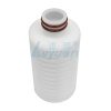 5 Inch Compact Pleated Filter Cartridge (1)