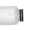 Polyester-Plisseefilterpatrone (5) Polyester-Plisseefilterpatrone (5)