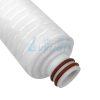 Wasserfilterpatrone mit plissierter Fasermembran (1)