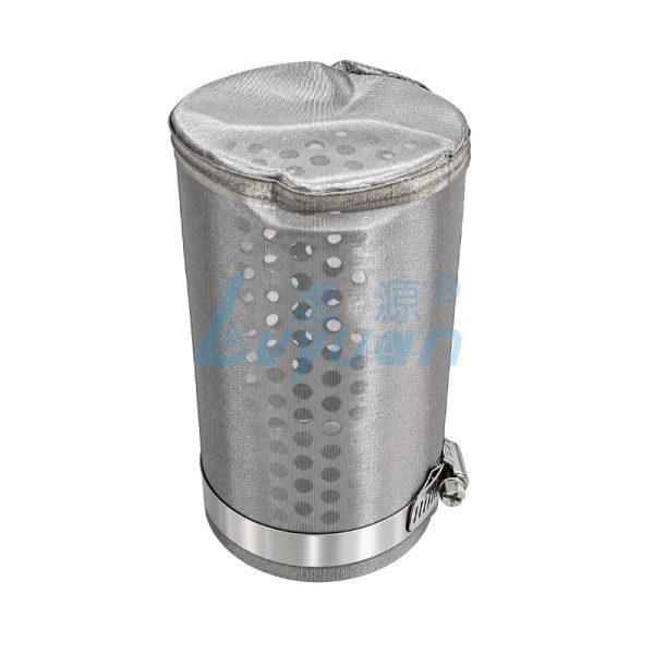 Sanitary Stainless Steel Inline Strainer (5)